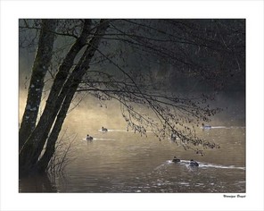 BRUGIER VERONIQUE-1 BON 50x40.jpg
