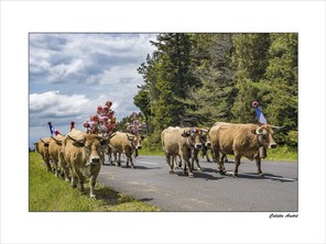 ANDRE COLETTE-2 BON 40x30.jpg