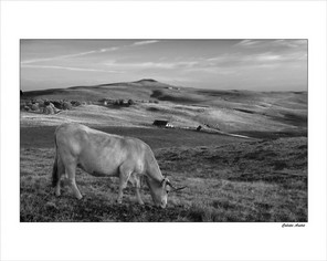 ANDRER COLETTE-1 BON 50x40.jpg
