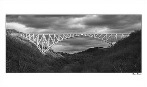 BOULOC ROGER-1 BON 50x30.jpg