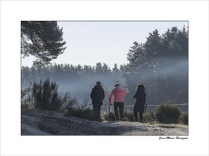 BOUSQUET JM-3 BON 40x30.jpg