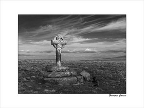 CAUSSE FRANCOISE-2 BON 40x30.jpg