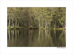 CHAYRIGUES ISABELLE-2 BON 40X30.jpg