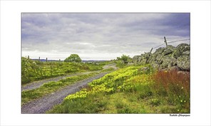 CHAYRIGUES ISABELLE-3 BON 50x30.jpg