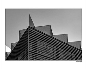 COSTES JOELLE-1 BON 50x40.jpg
