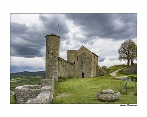 DALMIERES ANDRE-1 BON 40x50.jpg