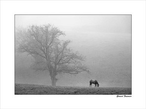 FOURNIER GERARD-2 BON 40x30.jpg