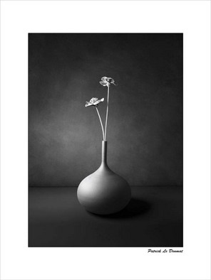 LE DENMAT PATRICK-2 BON 30x40.jpg