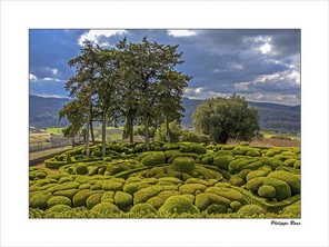 ROUX PHILIPPE -2 BON 40x30.jpg